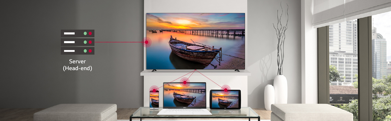 Telewizor hotelowy LG 48AN960H